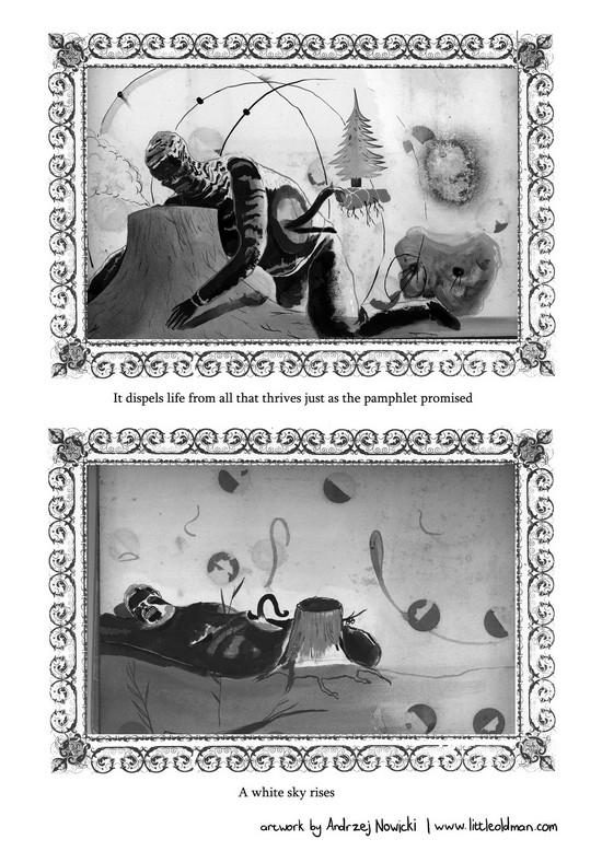 Haiti by Andrzej Nowicki Page 8